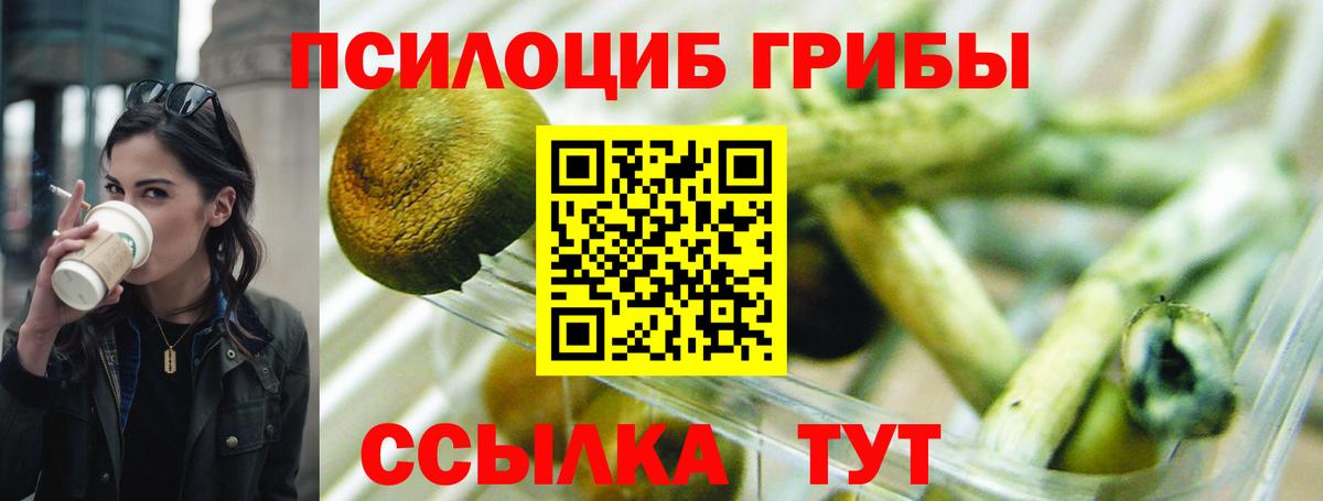 Галлюциногенные грибы прущие грибы  Вход с VPN  Саранск  Галлюциногенные грибы мухоморы 