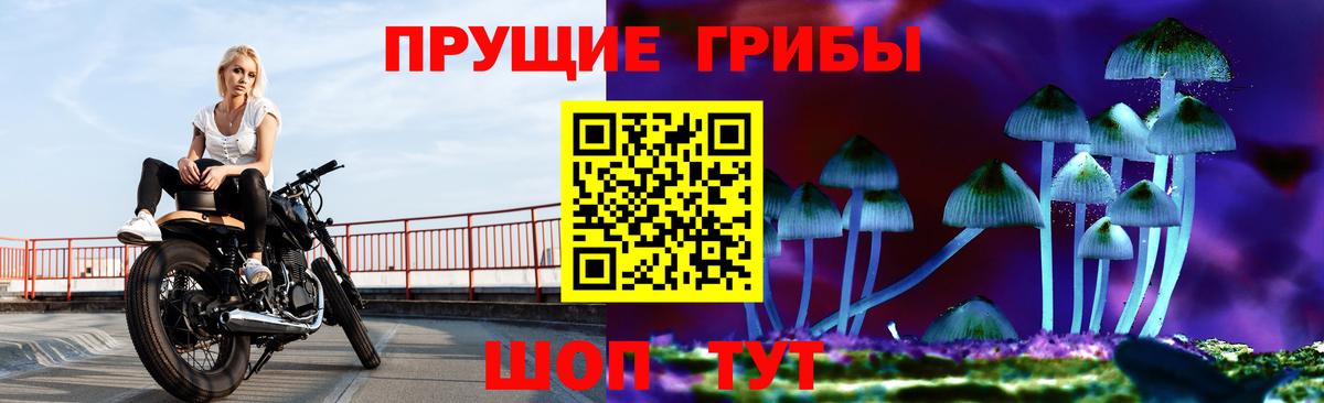 Псилоцибиновые грибы прущие грибы Саранск